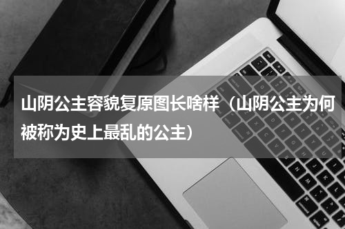 山阴公主容貌复原图长啥样（山阴公主为何被称为史上最乱的公主）