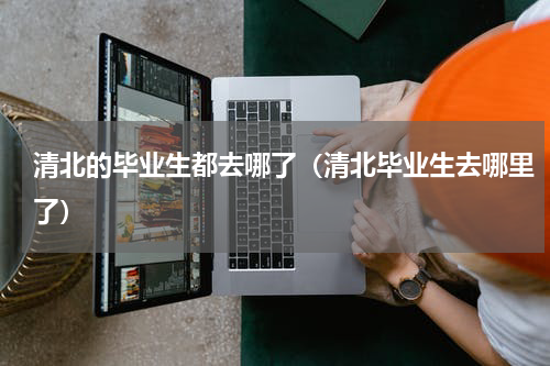 清北的毕业生都去哪了（清北毕业生去哪里了）