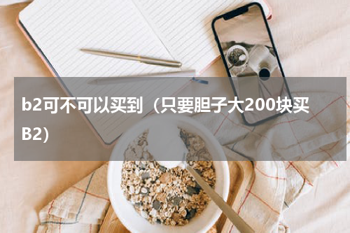 b2可不可以买到（只要胆子大200块买B2）