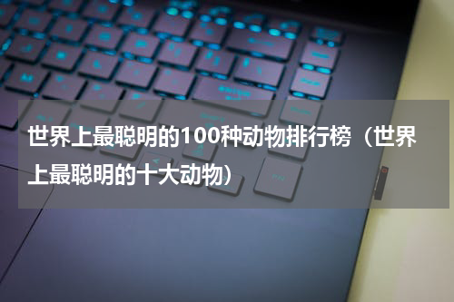 世界上最聪明的100种动物排行榜（世界上最聪明的十大动物）