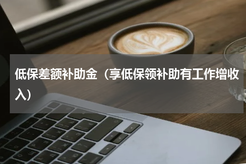 低保差额补助金（享低保领补助有工作增收入）