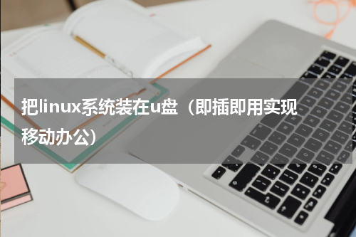 把linux系统装在u盘（即插即用实现移动办公）