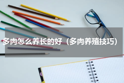 多肉怎么养长的好（多肉养殖技巧）