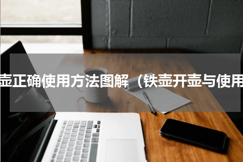 铁壶正确使用方法图解（铁壶开壶与使用）
