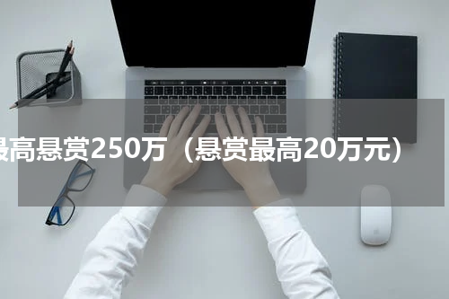 最高悬赏250万（悬赏最高20万元）