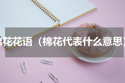 棉花花语（棉花代表什么意思）