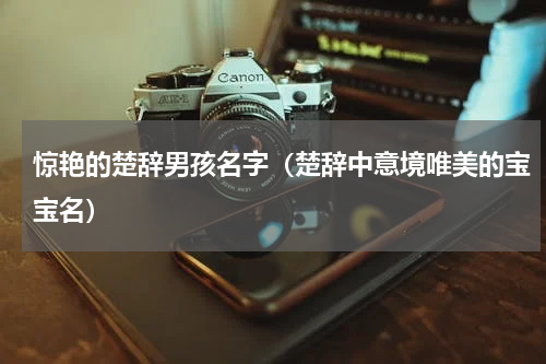 惊艳的楚辞男孩名字（楚辞中意境唯美的宝宝名）