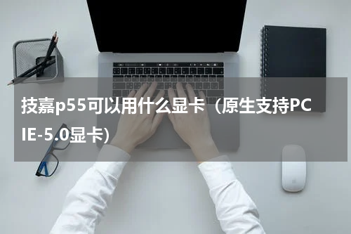 技嘉p55可以用什么显卡（原生支持PCIE-5.0显卡）