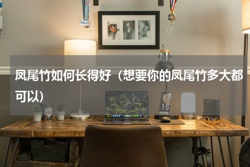 凤尾竹如何长得好（想要你的凤尾竹多大都可以）