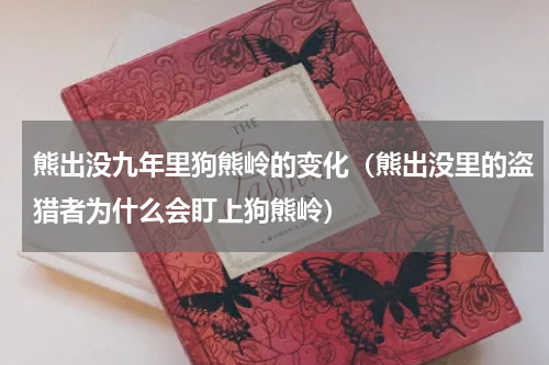 熊出没九年里狗熊岭的变化（熊出没里的盗猎者为什么会盯上狗熊岭）