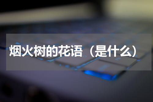 烟火树的花语（是什么）
