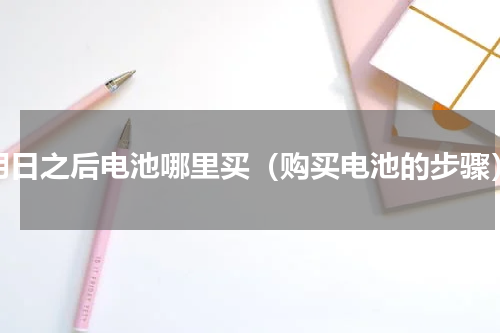 明日之后电池哪里买（购买电池的步骤）