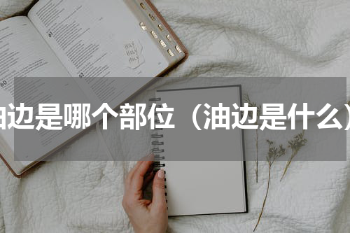 油边是哪个部位（油边是什么）