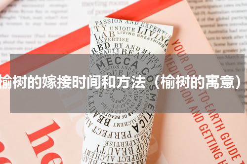 榆树的嫁接时间和方法（榆树的寓意）