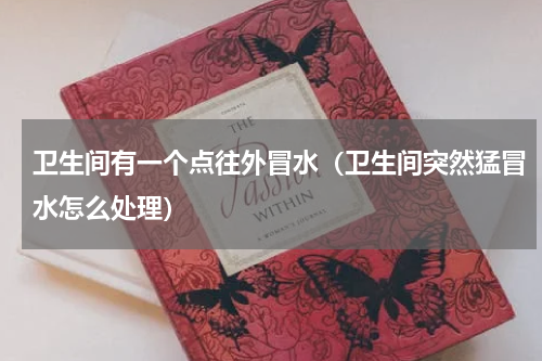 卫生间有一个点往外冒水（卫生间突然猛冒水怎么处理）