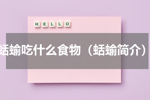 蛞蝓吃什么食物（蛞蝓简介）