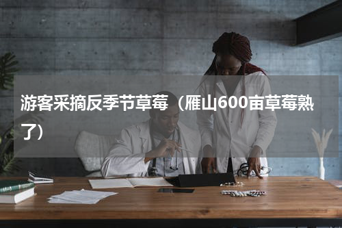 游客采摘反季节草莓（雁山600亩草莓熟了）
