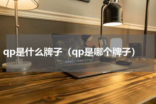qp是什么牌子（qp是哪个牌子）