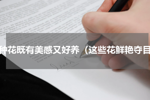 哪种花既有美感又好养（这些花鲜艳夺目）
