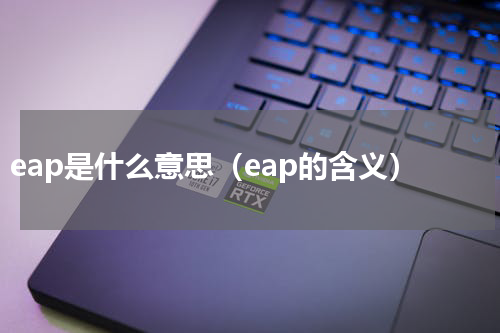 eap是什么意思（eap的含义）