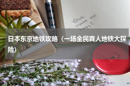 日本东京地铁攻略（一场全民真人地铁大探险）