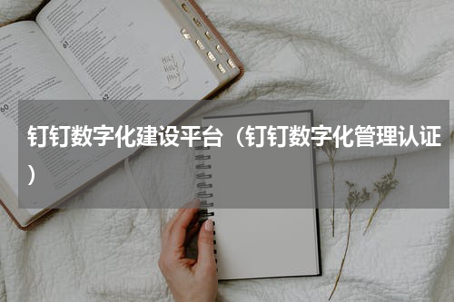 钉钉数字化建设平台（钉钉数字化管理认证）