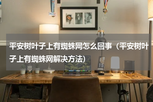平安树叶子上有蜘蛛网怎么回事（平安树叶子上有蜘蛛网解决方法）