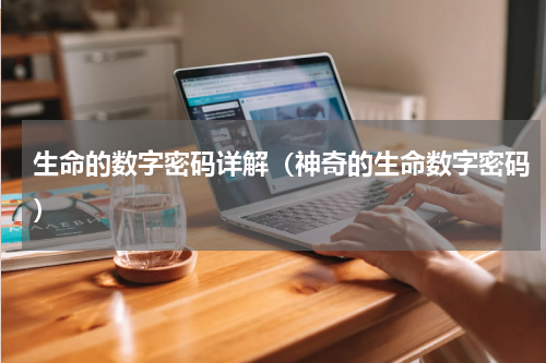 生命的数字密码详解（神奇的生命数字密码）