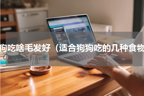 狗狗吃啥毛发好（适合狗狗吃的几种食物）