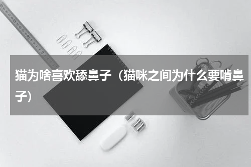猫为啥喜欢舔鼻子（猫咪之间为什么要啃鼻子）