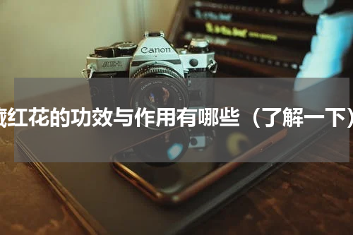 藏红花的功效与作用有哪些（了解一下）