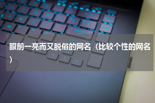 眼前一亮而又脱俗的网名（比较个性的网名）