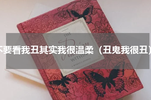 不要看我丑其实我很温柔（丑鬼我很丑）