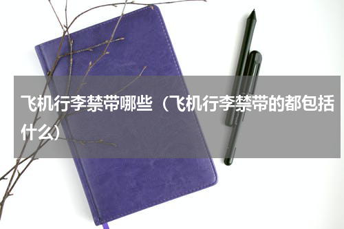 飞机行李禁带哪些（飞机行李禁带的都包括什么）