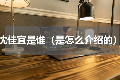 沈佳宜是谁（是怎么介绍的）