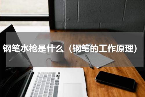 钢笔水枪是什么（钢笔的工作原理）
