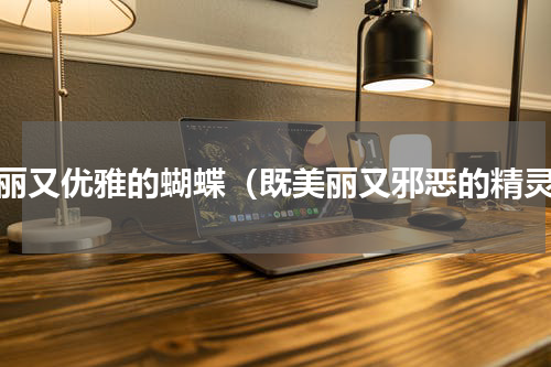 美丽又优雅的蝴蝶（既美丽又邪恶的精灵）