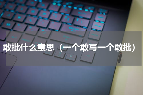 敢批什么意思（一个敢写一个敢批）