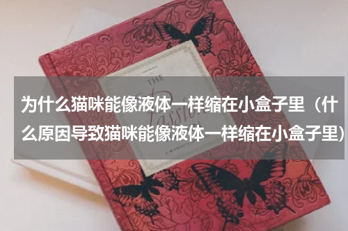 为什么猫咪能像液体一样缩在小盒子里（什么原因导致猫咪能像液体一样缩在小盒子里）