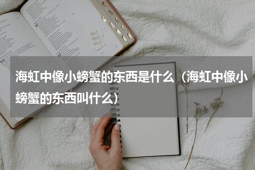 海虹中像小螃蟹的东西是什么（海虹中像小螃蟹的东西叫什么）