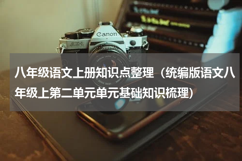 八年级语文上册知识点整理（统编版语文八年级上第二单元单元基础知识梳理）