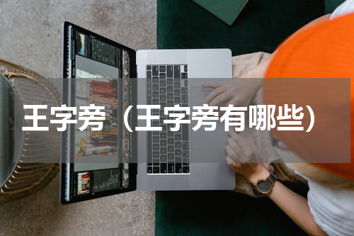 王字旁（王字旁有哪些）