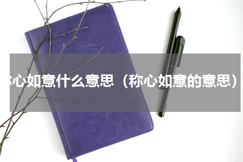 称心如意什么意思（称心如意的意思）
