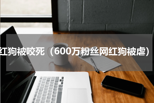网红狗被咬死（600万粉丝网红狗被虐）