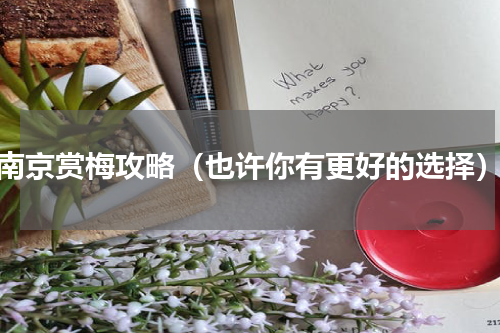 南京赏梅攻略（也许你有更好的选择）