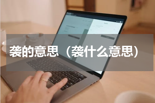 袭的意思（袭什么意思）