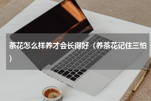 茶花怎么样养才会长得好（养茶花记住三怕）