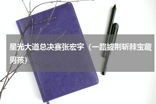 星光大道总决赛张宏宇（一路披荆斩棘宝藏男孩）