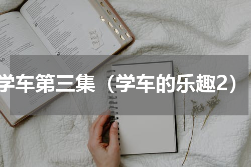 学车第三集（学车的乐趣2）