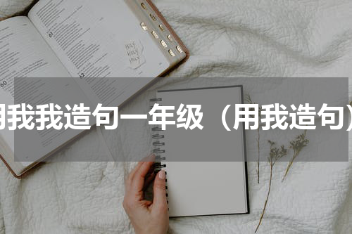 用我我造句一年级（用我造句）